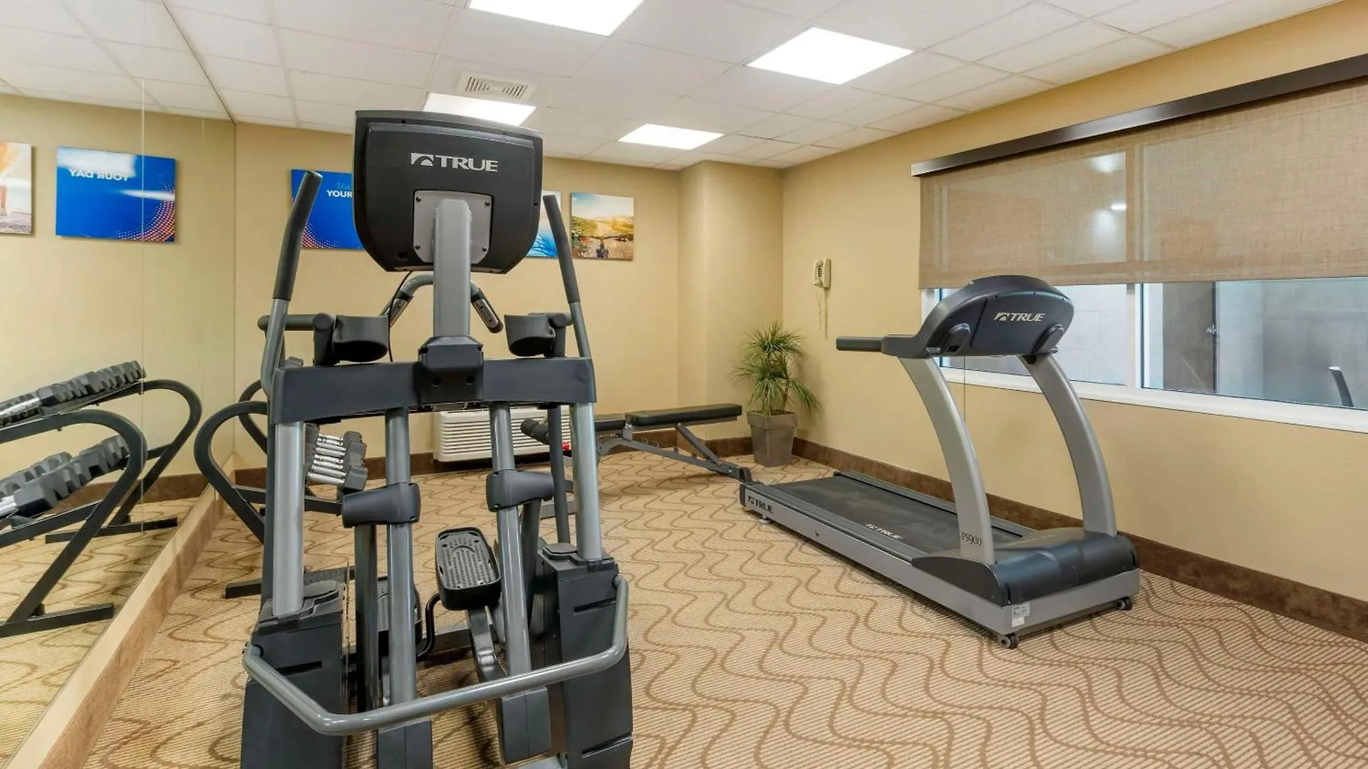 Comfort Inn North-Polaris Columbus